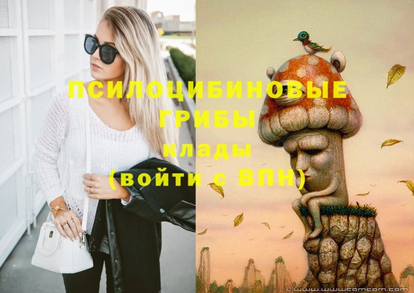 ПСИЛОЦИБИНОВЫЕ ГРИБЫ Сатка