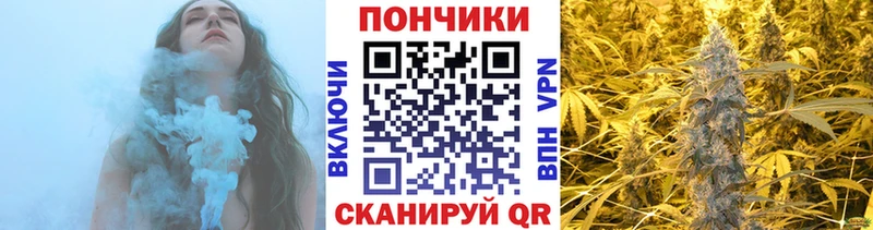 Бошки марихуана план  хочу   Ялуторовск 